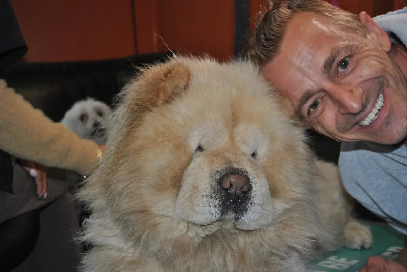 Bart met zijn hoofd tegen een pluizige chow chow